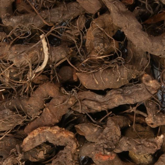 Blood Root