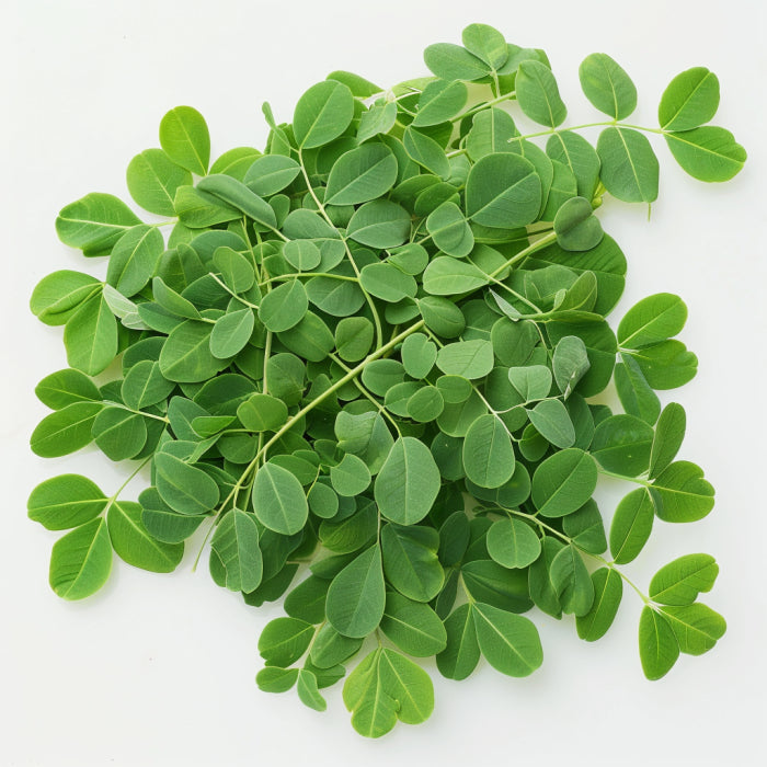 Moringa