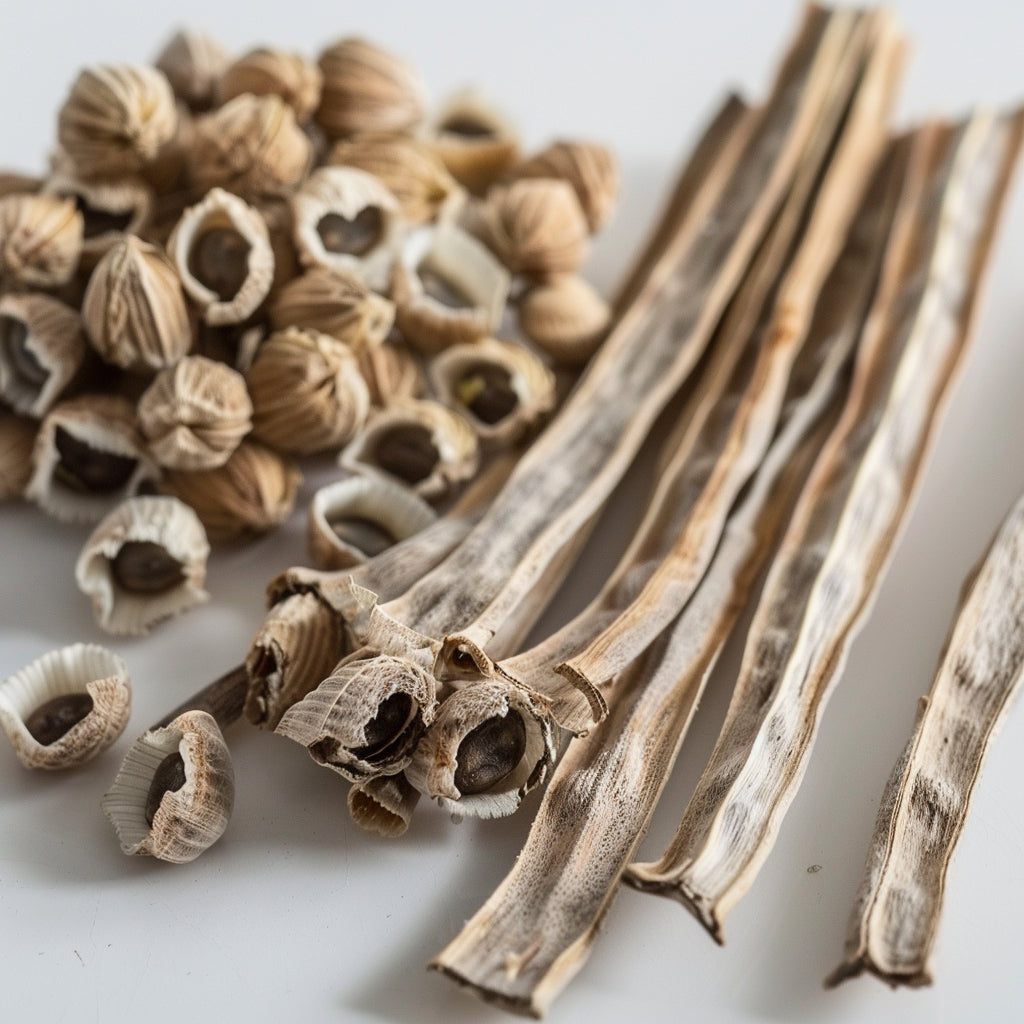 Moringa