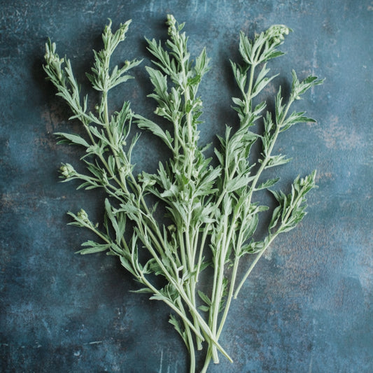 Wormwood